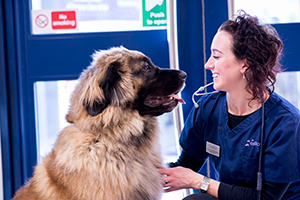 Veterinary Awards img