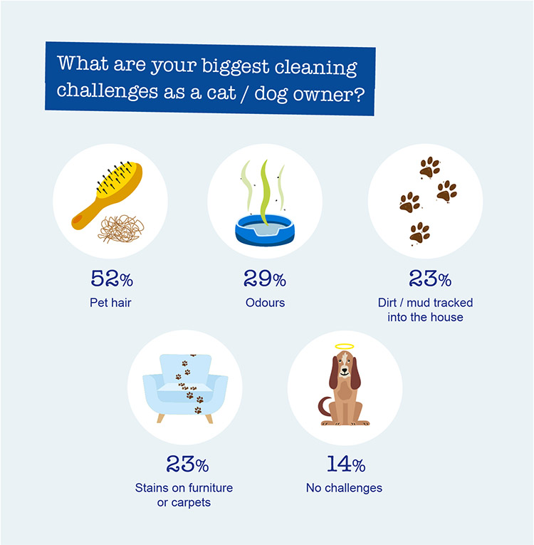 What are your biggest cleaning challenges as a cat/dog owner?