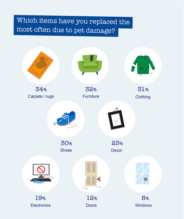 Which items have you replaced the most often due to pet damage?