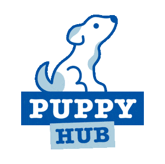 Puppy hub intro